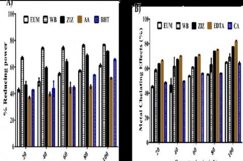 Protective reducing power (A) and metal chelating ability (B) each of the Z. mucronata (ZIZ), W. salutaris (WB), E.autumnalis (EUM)