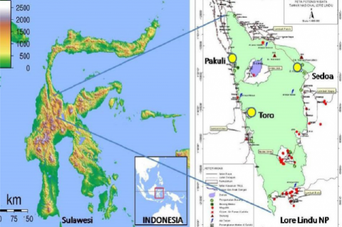 Map of Zingiberaceae Species Collected from Lore Lindu National Park, Central Sulawesi (Yellow Spots)