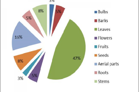 Medicinal plant parts used