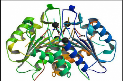 GRAPHICAL ABSTRACT