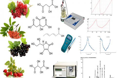 GRAPHICAL ABSTRACT