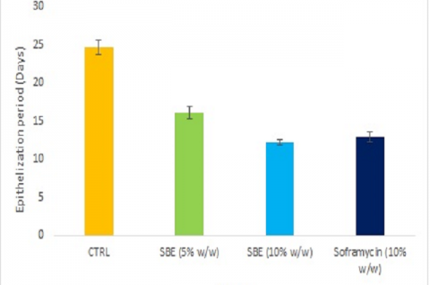 Epithelization of wounds treated with S. Bryopteris extract.