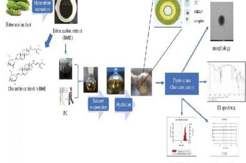 Graphical Abstract