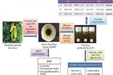 Graphical Abstract