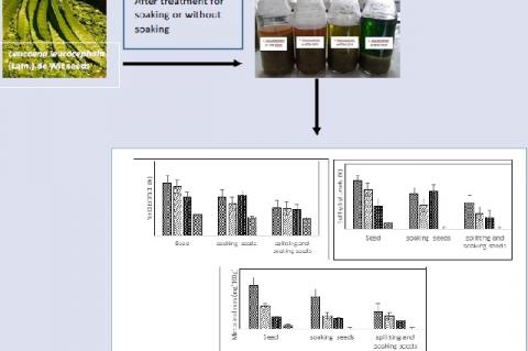 Graphical Abstract