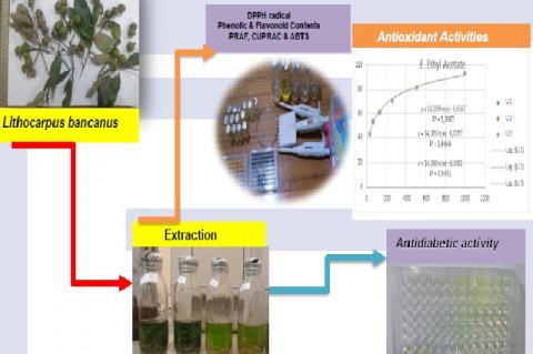 Graphical Abstract