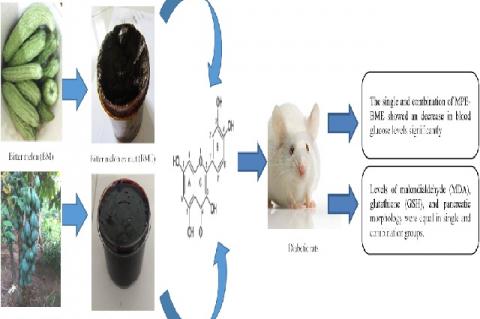 Graphical Abstract