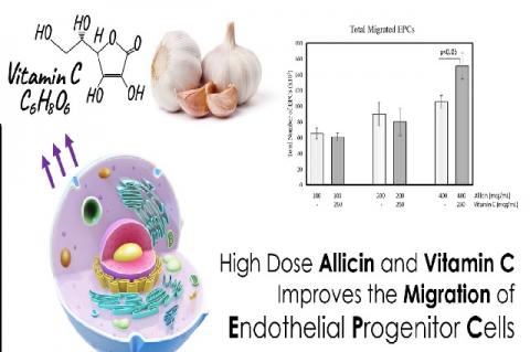 Graphical Abstract