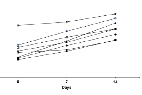 Body weights measurements in mice administered Sampilnorov wurile.