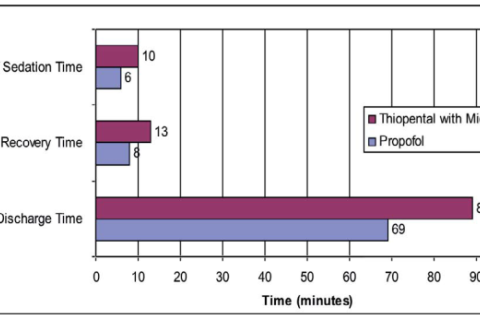 Sedation Onset, Recovery Time, and Discharge Time.