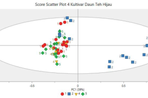PCA scoring plot of four green tea varieties (Camellia sinensis L.) i.e. TRI2025 (■), TRI2024 (●), Kiara (▼), Chinruan (♦).