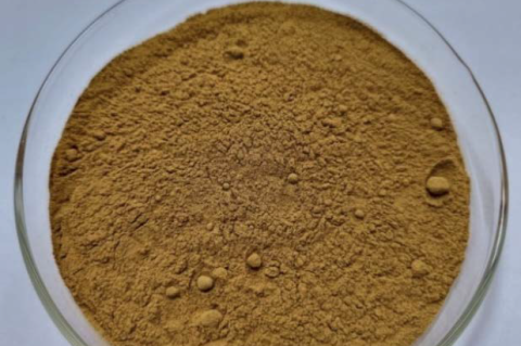 Tribulus terrestris L. dry extract