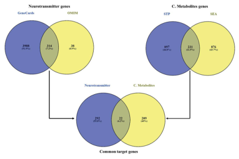 Common genes found between GeneCards and OMIM, SEA and STP as well as overlapping genes of C. sativa metabolites and neurotransmitters of the CNS.