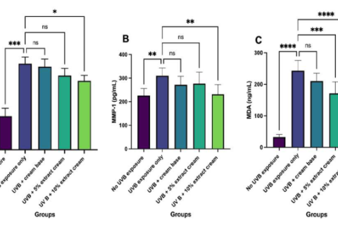(A) CPD levels, (B) MMP-1 levels, and (C) MDA levels. *P ≤ 0.05, **P ≤ 0.01, ***P ≤ 0.001, ****P ≤ 0.0001 indicate significant differences; ns = not significant.