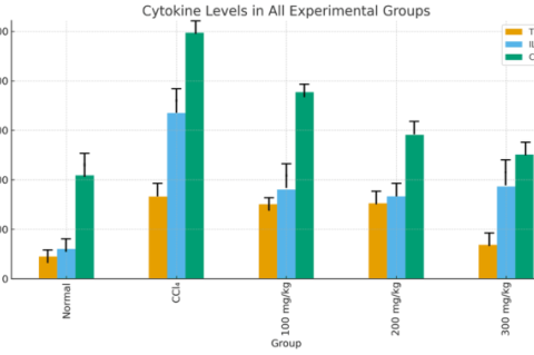 Cytokine levels in all experimental groups