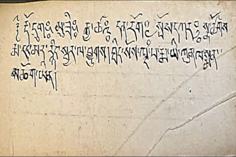 Manuscript with stone poison composition