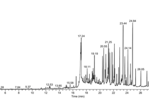 GC-MS chromatogram of Celtis timorensis bark extract