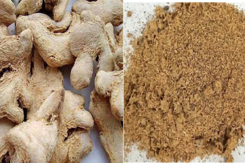 Photo documentation of crude and powdered herb Zingiber officinale