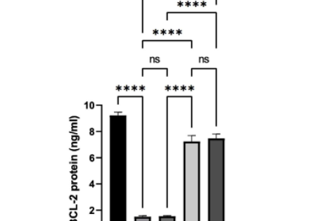 The effect of Moringa oleifera fruit extract on hepatic BCL-2 protein expression. normal control (N), obesse control (O), obese + M. oleifera fruit extract (500 mg/kg BW, once (OEMO1) or twice daily (OEMO2)), and obese rats + Vitamin C (OC). Data are presented as mean ± SD. One-way ANOVA (p < 0,05) was followed by Tukey's post hoc test. ns) not significans,****) p < 0.0001.