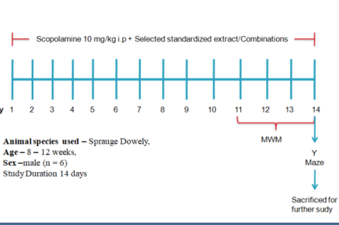 1. Behavioral Study layout