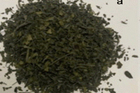 Dried parts of C. spinosa leaves.