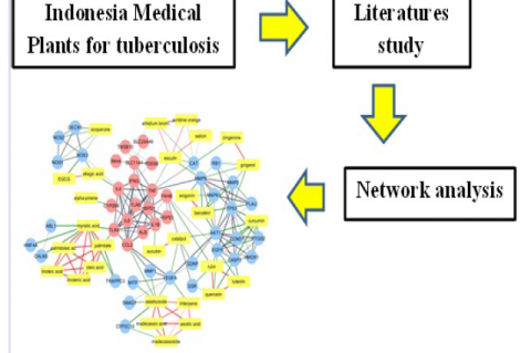 GRAPHICAL ABSTRACT