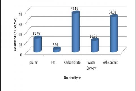 Nutrient content of P. australis found in Kelapa Lima coast, Kupang Bay