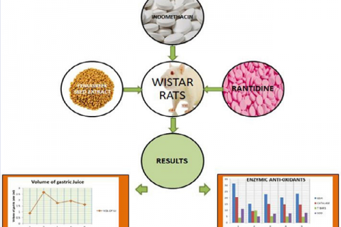 GRAPHICAL ABSTRACT