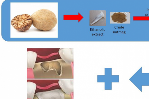 Graphical Abstract