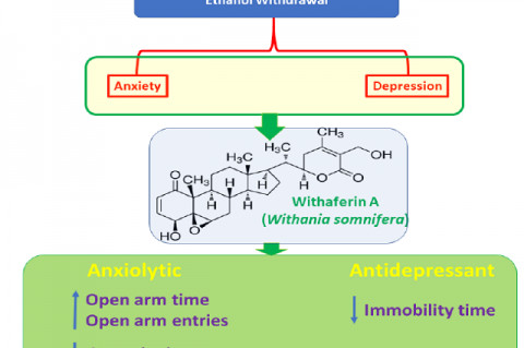 GRAPHICAL ABSTRACT