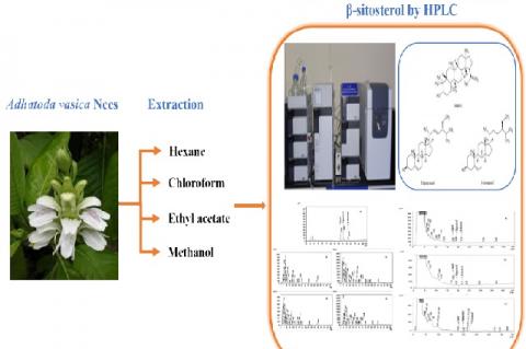 Graphical Abstract