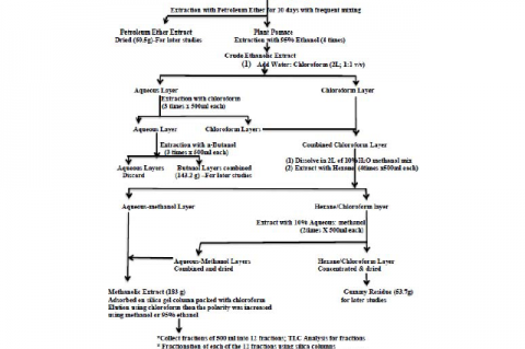 Figure 1: Isolation of Different Flavones from Artemisia monosperma (Delile)