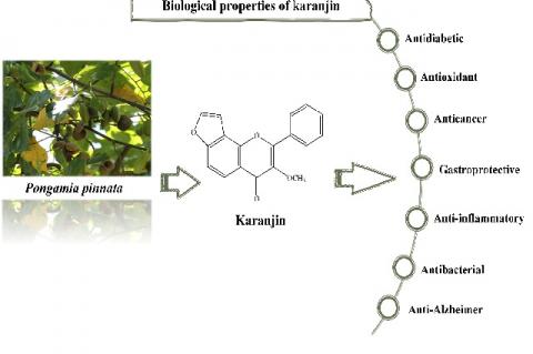 Graphical Abstract