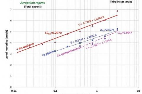 Comparative regression lines of total extract A. repens against third instar larvae of three species of mosquito vectors