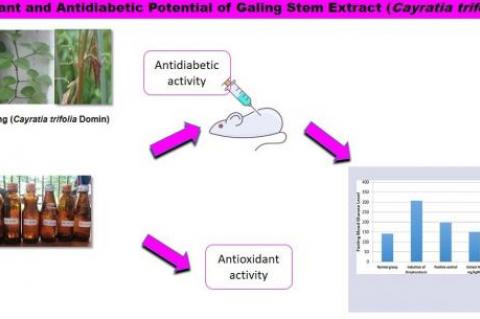 Graphical Abstract