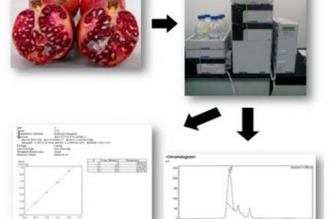 Graphical Abstract