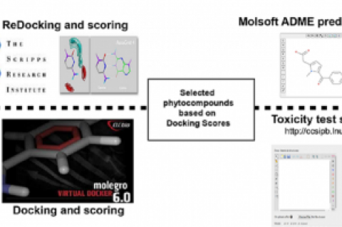 Selection of bacterial sub-cellular protein targets for docking studies