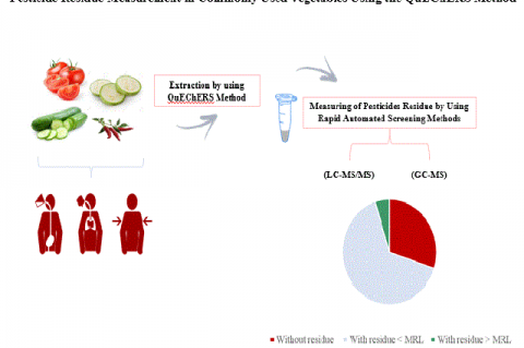 Graphical Abstract