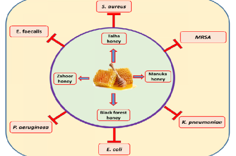 Graphical Abstract