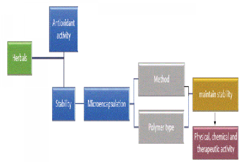 Graphical Abstract