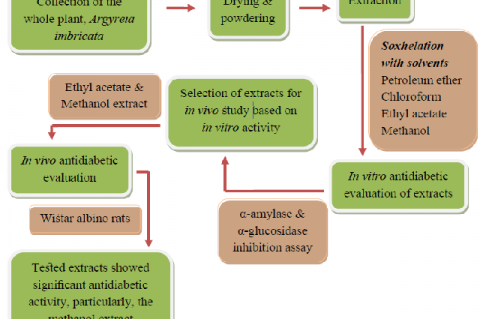 Graphical Abstract