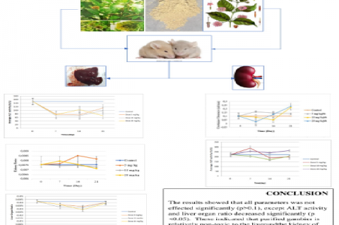 Graphical Abstract