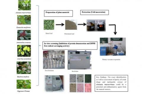 Graphical Abstract