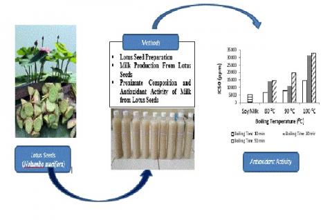 Graphical Abstract