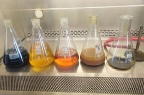 Five extracts from left to right; aqueous methanol, n-butanol, hexane, DCM and water