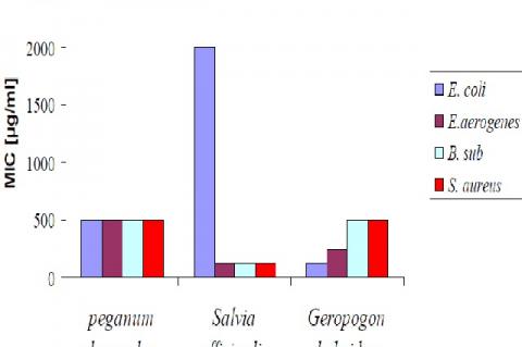 The MIC of ethanol plant extracts on the different bacterial strains