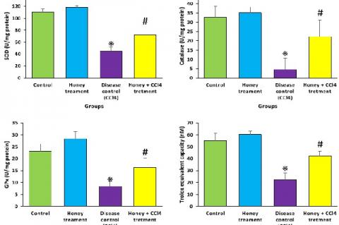 Effect of honey on antioxidant enzymes and total antioxidant capacity