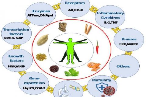 Graphical Abstract