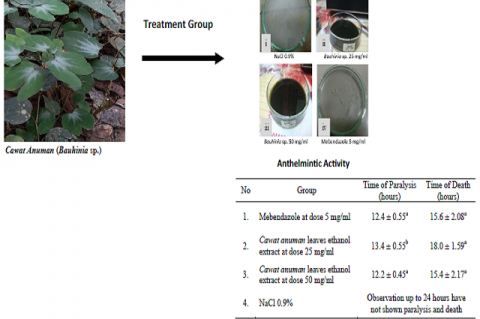 The Anthelmintic Activity of Cawat Anuman (Bauhinia Sp.) Leaves Against Ascaridia galli Worms