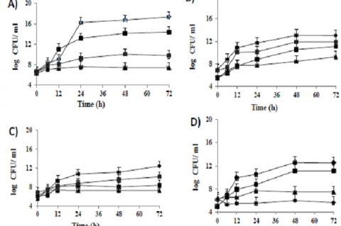 Growth kinetics of LAB strains (A) Bifidobacterium animalis subsp lactis Bb12, (B) Bifidobacterium bifidum Bb443, (C) Lactobacillus acidophilus LbA-CECT4529, (D) Lactobacillus plantarum LbP-CECT 748 monocultivated on complex media based on different substrates (date powder ■ DP, date core ♦DC with or without lentils ▲CL) and in standard medium●MRS.